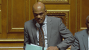 Dominique Theophile